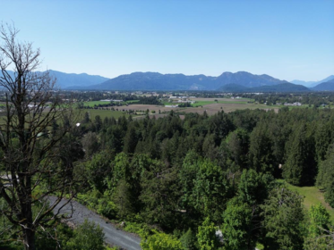 Pantry Photo of 51860 Hack-Brown Road, Chilliwack, BC
