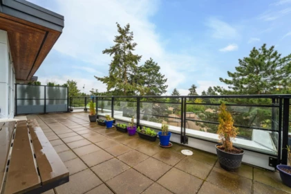 Kitchen Photo of PH2 7988 Yukon Street, Vancouver, BC