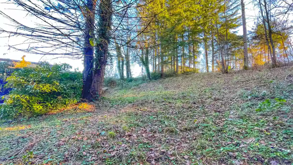 Swimming Pool Photo of 32492 Cherry Avenue, Mission, BC