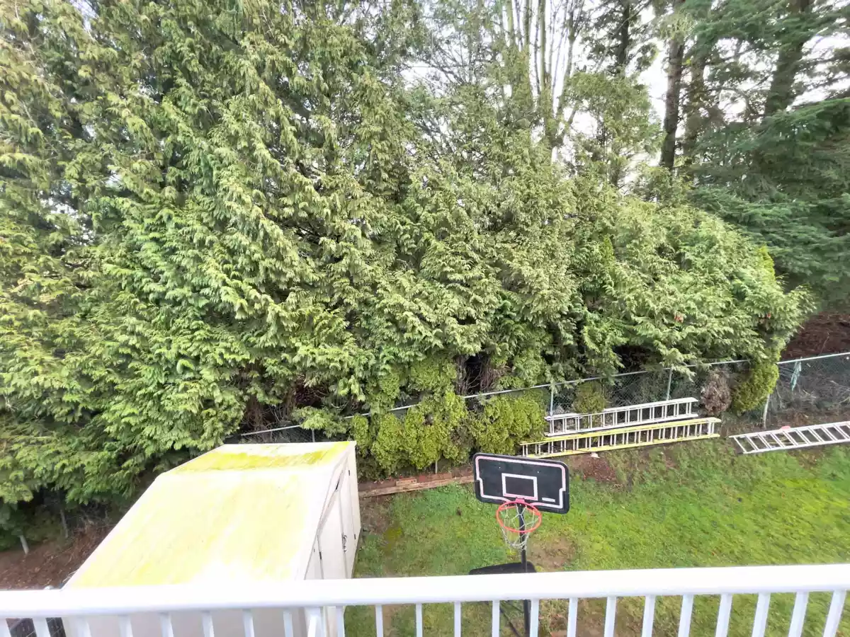 Hallway Photo of 31638 Harmony Court, Abbotsford, BC