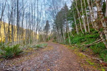 1049 Grafton Road, Bowen Island, BC, Bowen Island — Land for sale