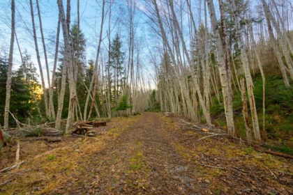 1049 Grafton Road, Bowen Island, BC, Bowen Island — Land for sale