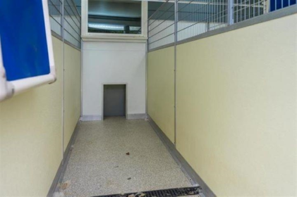 Primary Bathroom Photo of 4102 Lefeuvre Road, Abbotsford, BC