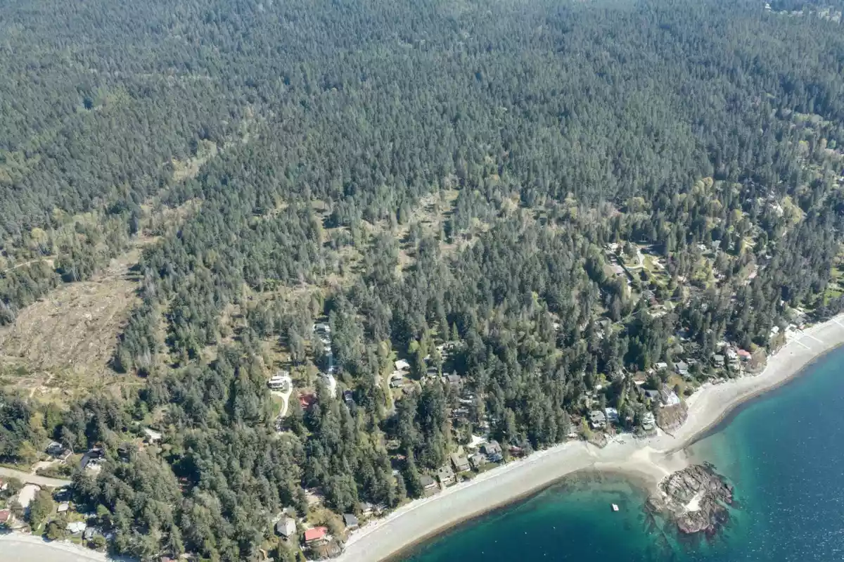 Pantry Photo of Block B Priestland Road, Sechelt, BC