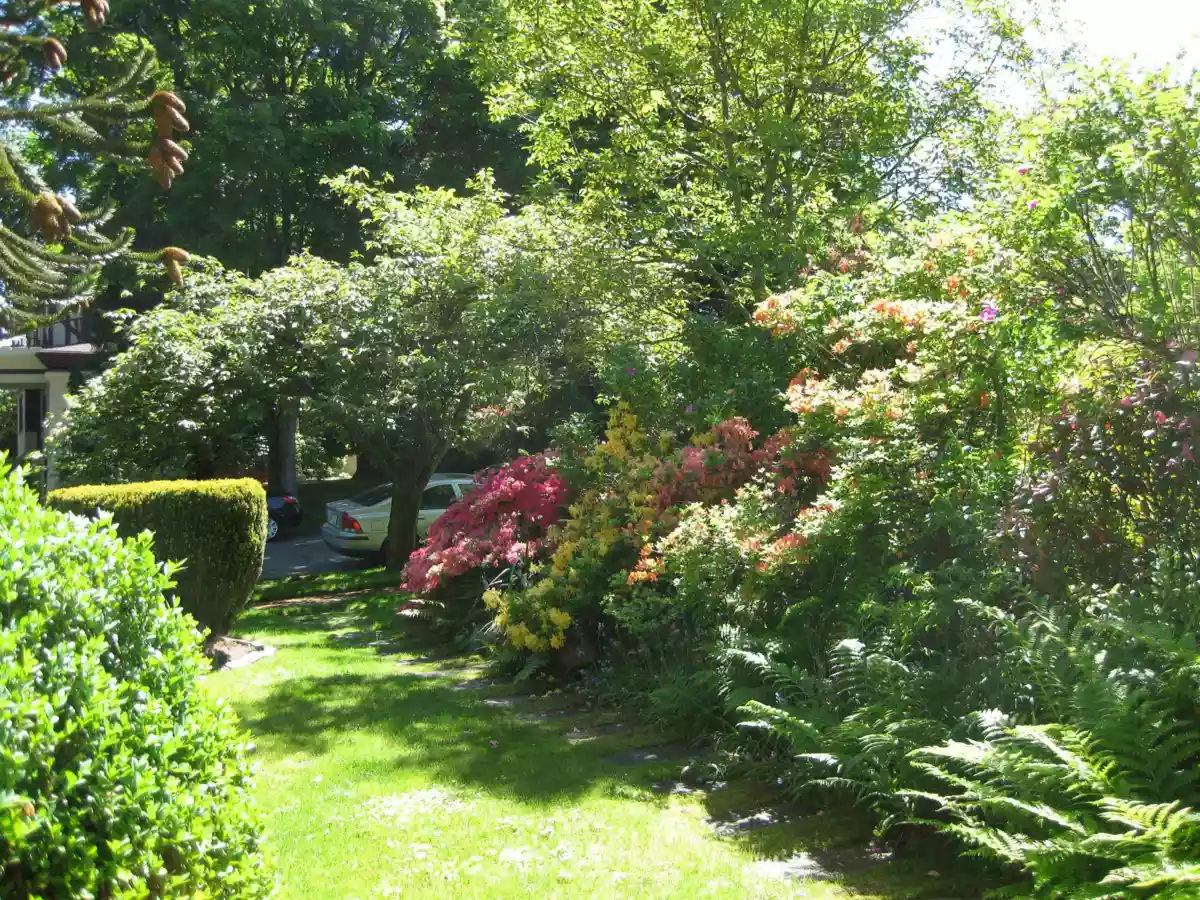 Neighborhood Park Photo Near 4825 Connaught Drive, Vancouver, BC