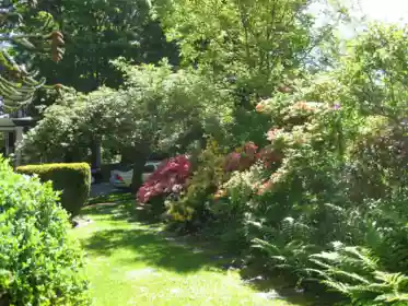 Neighborhood Park Photo Near 4825 Connaught Drive, Vancouver, BC