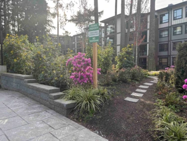 505 3535 146a Street, Surrey, BC, Surrey — Apartment/Condo for sale