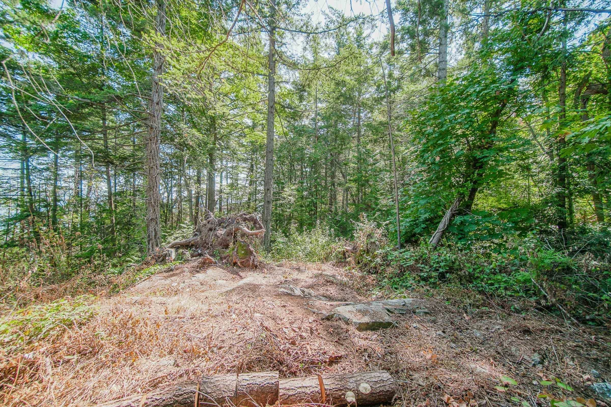 Family Room Photo of 16 Passage Island, West Vancouver, BC