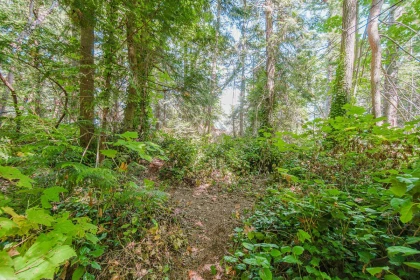 Pantry Photo of 16 Passage Island, West Vancouver, BC
