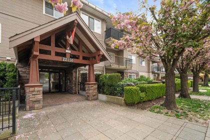 409 22150 Dewdney Trunk Road, Maple Ridge, BC, Maple Ridge — Apartment/Condo for sale