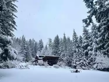 Backyard Photo of 2931 Grauman Road, Roberts Creek, BC