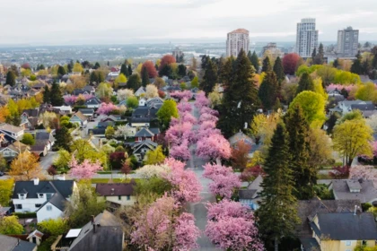 Neighborhood Park Photo Near 416 Second Street, New Westminster, BC