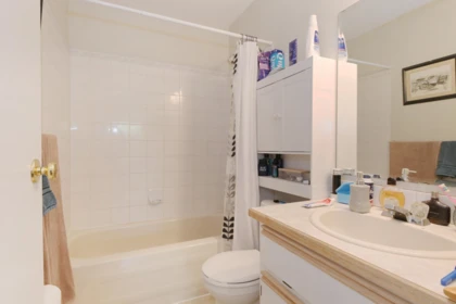 Primary Bathroom Photo of 202A 45655 Mcintosh Drive, Chilliwack, BC