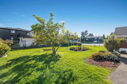 Kitchen Photo of 6282 175b Street, Surrey, BC
