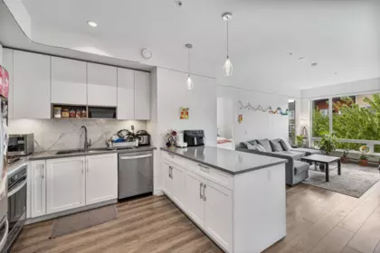 A315 20727 Willoughby Town Centre Drive, Langley, BC, Langley — Apartment/Condo for sale