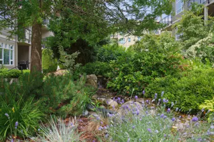 Outdoor Patio Photo of E305 20211 66 Avenue, Langley, BC
