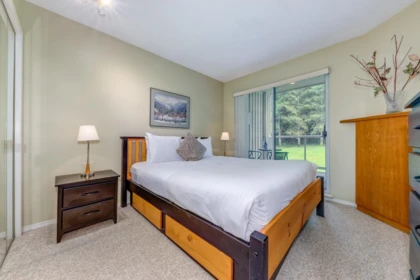 Guest Bathroom Photo of 207 4749 Spearhead Drive, Whistler, BC