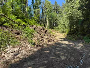 7252 272 Street, Langley, BC, Langley — Land for sale