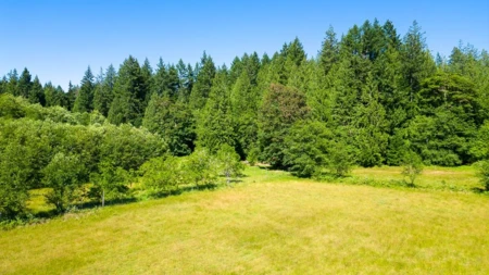 Street View Photo of 6104 Mason Road, Sechelt, BC