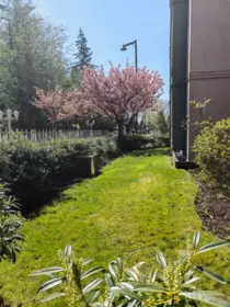Front Yard Photo of 311 10128 132 Street, Surrey, BC