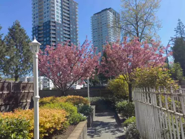 Outdoor Patio Photo of 311 10128 132 Street, Surrey, BC