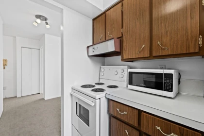 Pantry Photo of 203 1250 Burnaby Street, Vancouver, BC