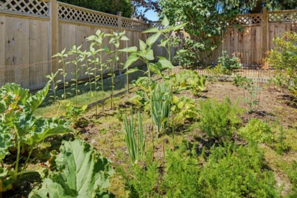 Neighborhood Park Photo Near 9275 155 Street, Surrey, BC