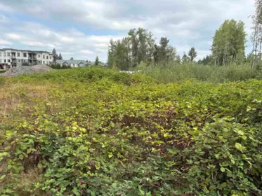 7235 204 Street, Langley, BC, Langley — Land for sale