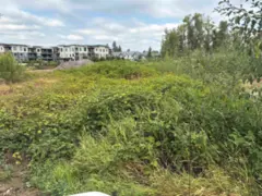 7235 204 Street, Langley, BC