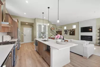 Pantry Photo of 23158 112b Avenue, Maple Ridge, BC