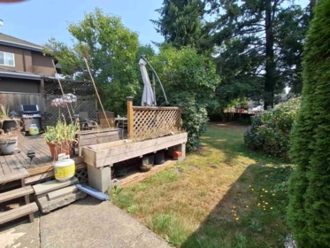 Kitchen Photo of 11352 82a Avenue, Delta, BC