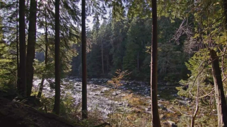 2101 Riverside Drive, North Vancouver, BC, North Vancouver — Land for sale