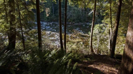2101 Riverside Drive, North Vancouver, BC, North Vancouver — Land for sale