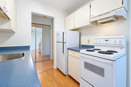214 310 W 3rd Street, North Vancouver, BC, North vancouver — Apartment/Condo for sale