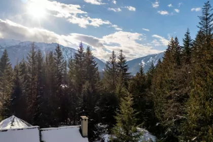 8648 Lakewood Court, Whistler, BC, Whistler — Land for sale