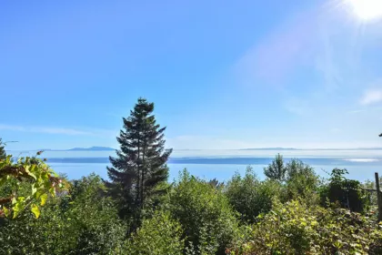 12816 13 Avenue, Surrey, BC, Crescent Bch Ocean Pk. — 3 bed single family residence for sale