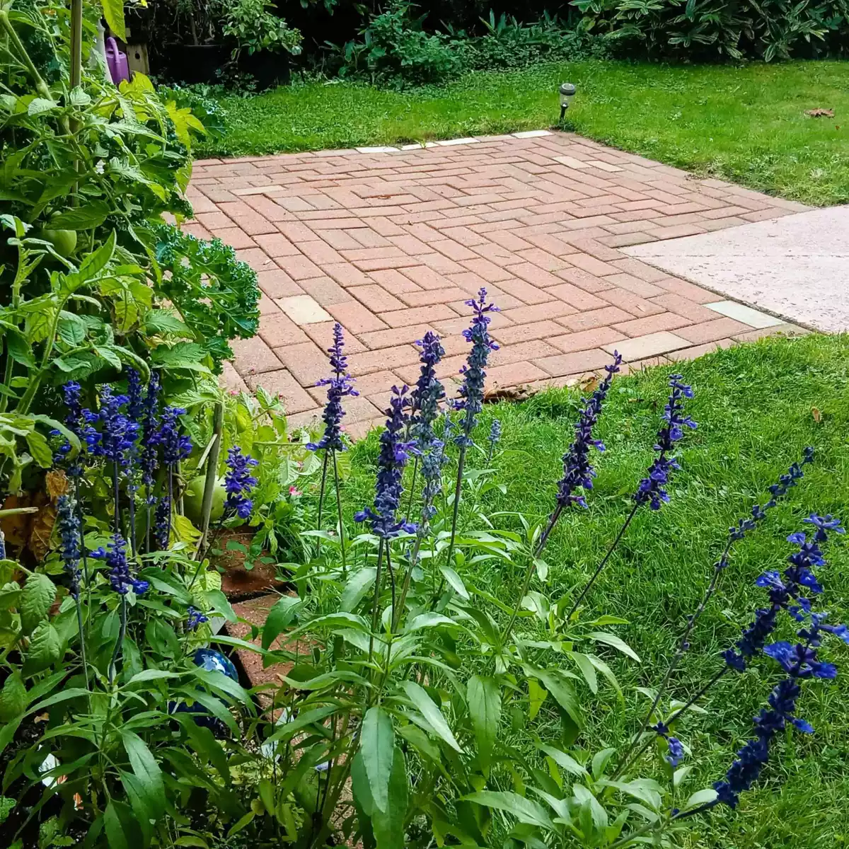 Bedroom 3 Photo of 8187 Coleman Street, Mission, BC
