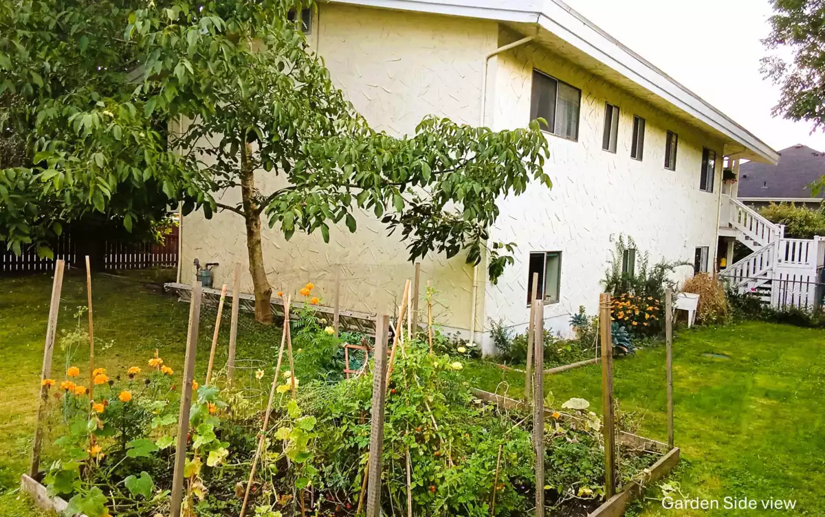 Kitchen Photo of 8187 Coleman Street, Mission, BC