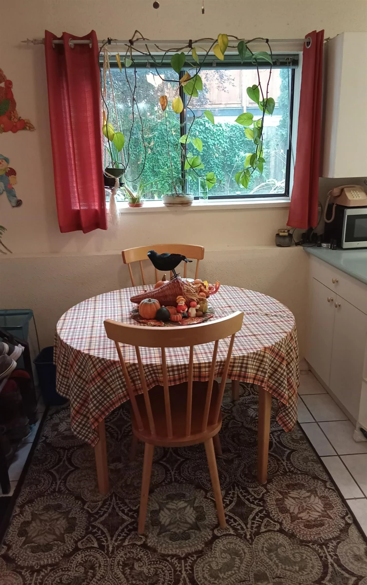 Swimming Pool Photo of 8187 Coleman Street, Mission, BC