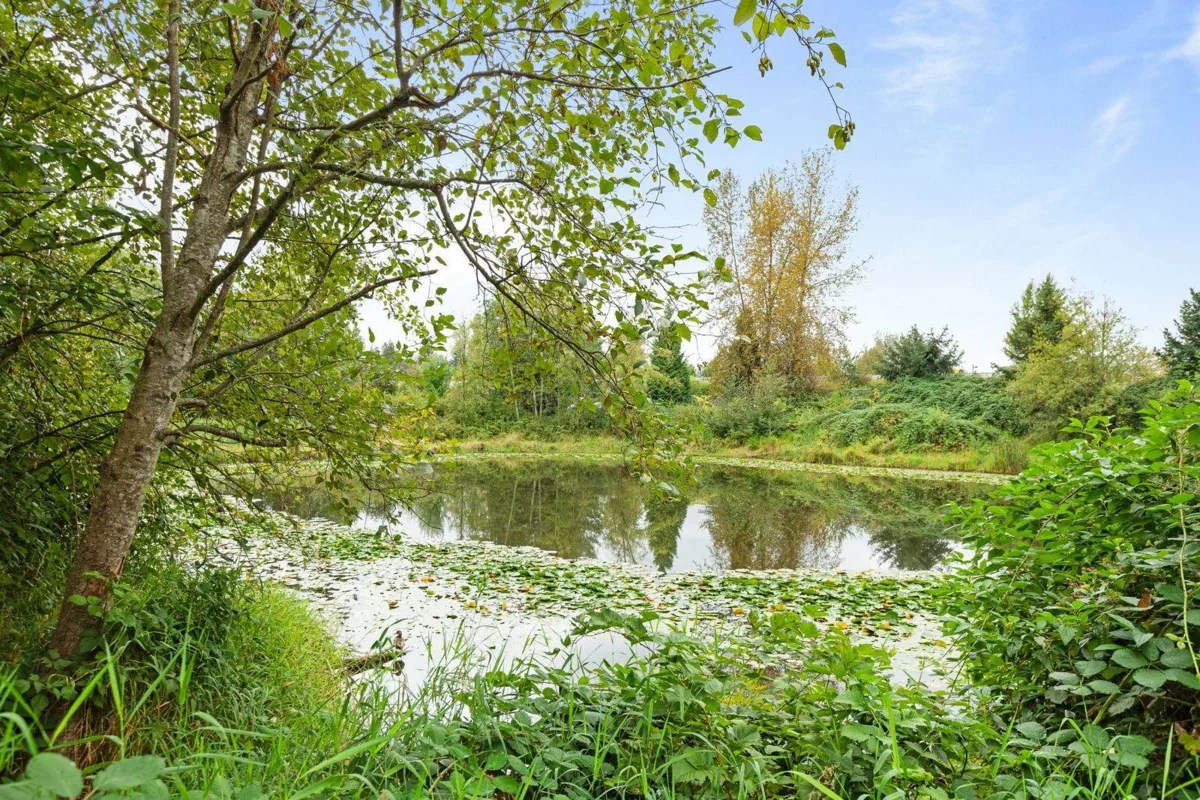 Aerial View of 215 12565 190a Street, Pitt Meadows, BC