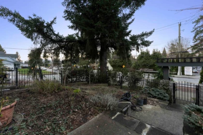 Backyard Photo of 9347 122 Street, Surrey, BC