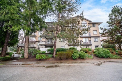 304 20288 54 Avenue, Langley, BC, Langley — Apartment/Condo for sale