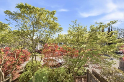 Backyard Photo of 3 2150 SE Marine Drive, Vancouver, BC