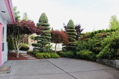 Outdoor Kitchen Photo of 3022 Plateau Boulevard, Coquitlam, BC