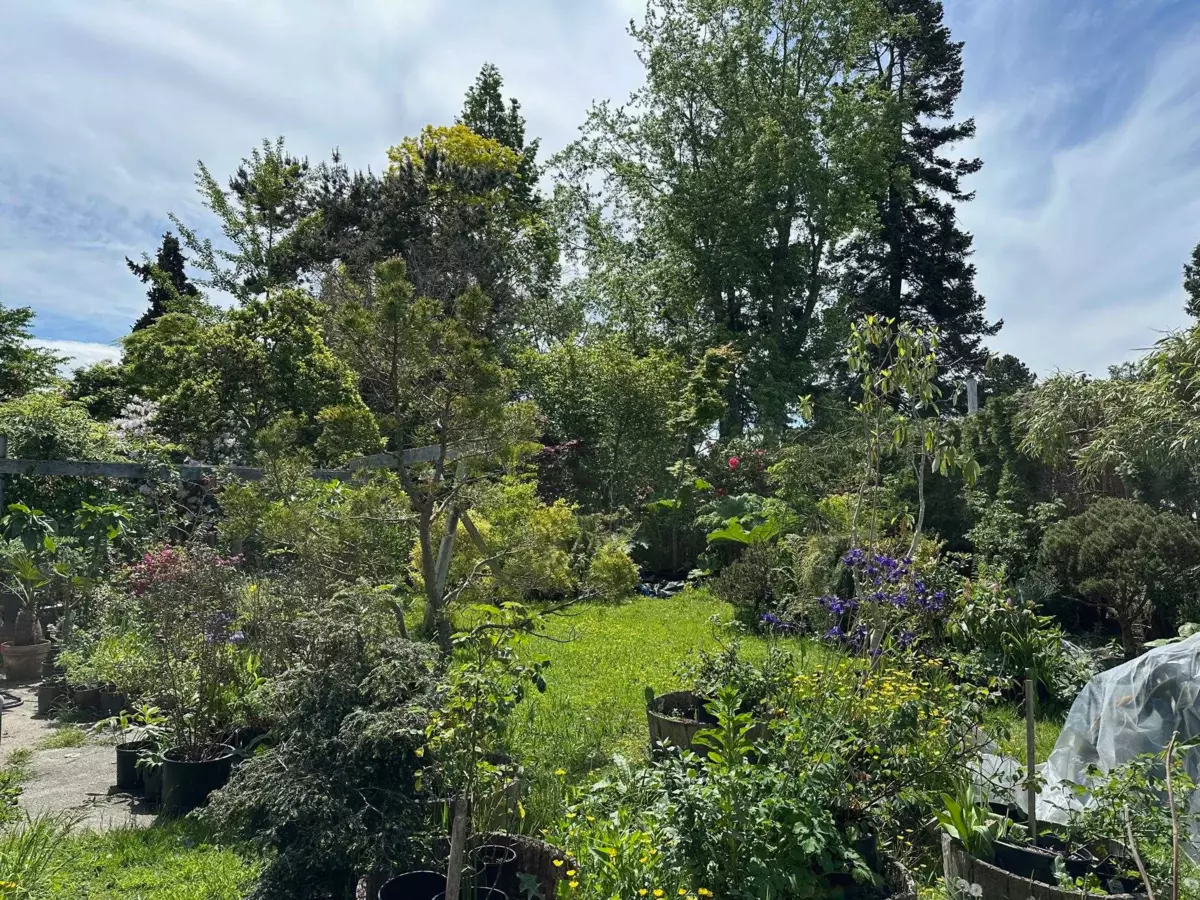 Family Room Photo of 5278 Belair Drive, Delta, BC