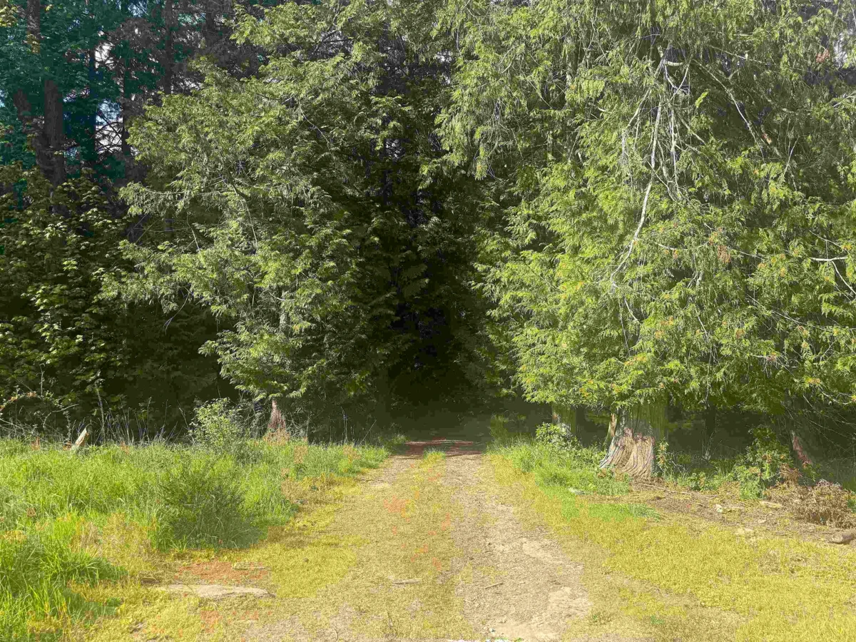 Exterior Rear Photo of 1114 Bluff Road, Galiano Island, BC