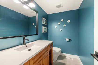 Powder Room Photo of 5951 237a Street, Langley, BC