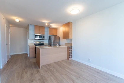 Walk-In Closet Photo of 2501 909 Mainland Street, Vancouver, BC