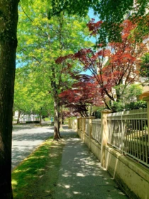 Neighborhood Park Photo Near 307 2985 Princess Crescent, Coquitlam, BC