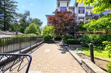 Fitness Center Photo Near 410 11887 Burnett Street, Maple Ridge, BC
